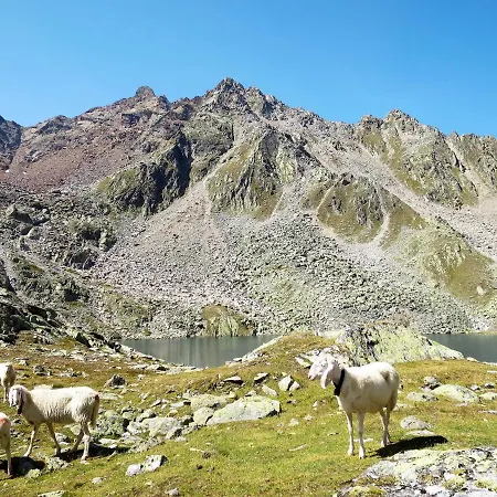 Nadine-2 By Interhome Apartamento Sölden