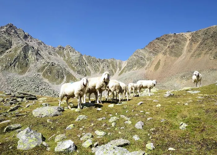 شقة Nadine-2 By Interhome سولدن