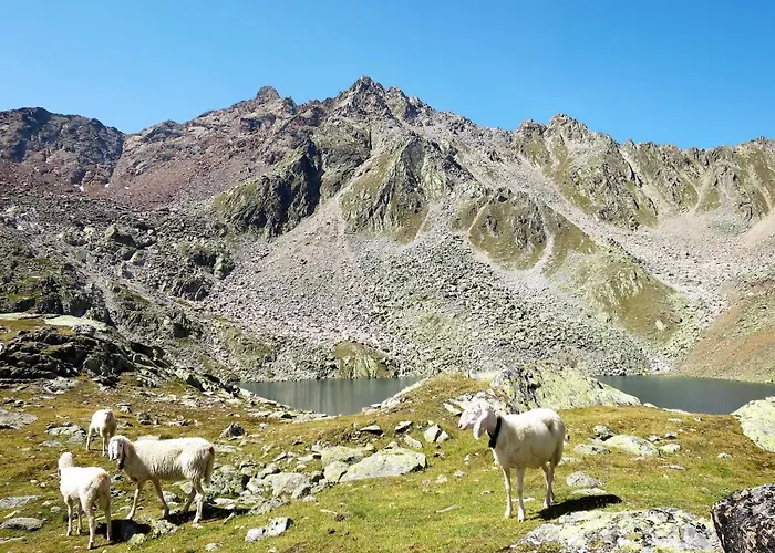 Nadine-2 By Interhome شقة سولدن